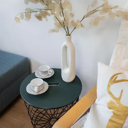 Chopin Apartment Lazienki Park Варшава Екстер'єр фото